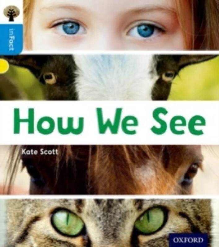 Image of Kate Scott Oxford Reading Tree inFact: Oxford Level 3: How We See Book Multi unisex