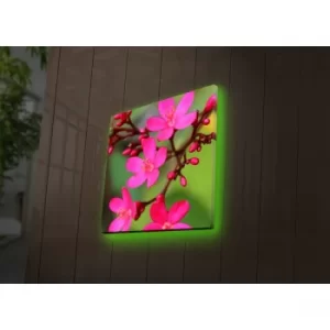 Image of 4040DACT-40 Multicolor Decorative LED Lighted Canvas Painting