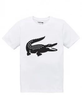 Image of Lacoste Sports Boys Short Sleeve Croc T-Shirt - White, Size 8 Years