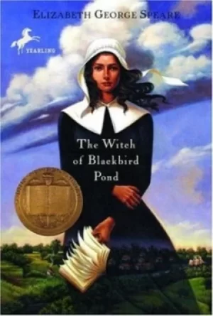 Image of The witch of Blackbird Pond by Elizabeth George Speare