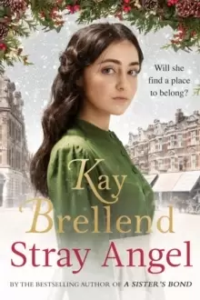 Image of Stray Angel: an absolutely heart-rending Christmas saga