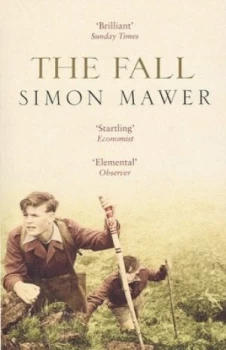 Image of The Fall by Simon Mawer Book