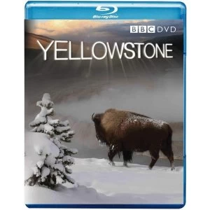 Yellowstone Bluray