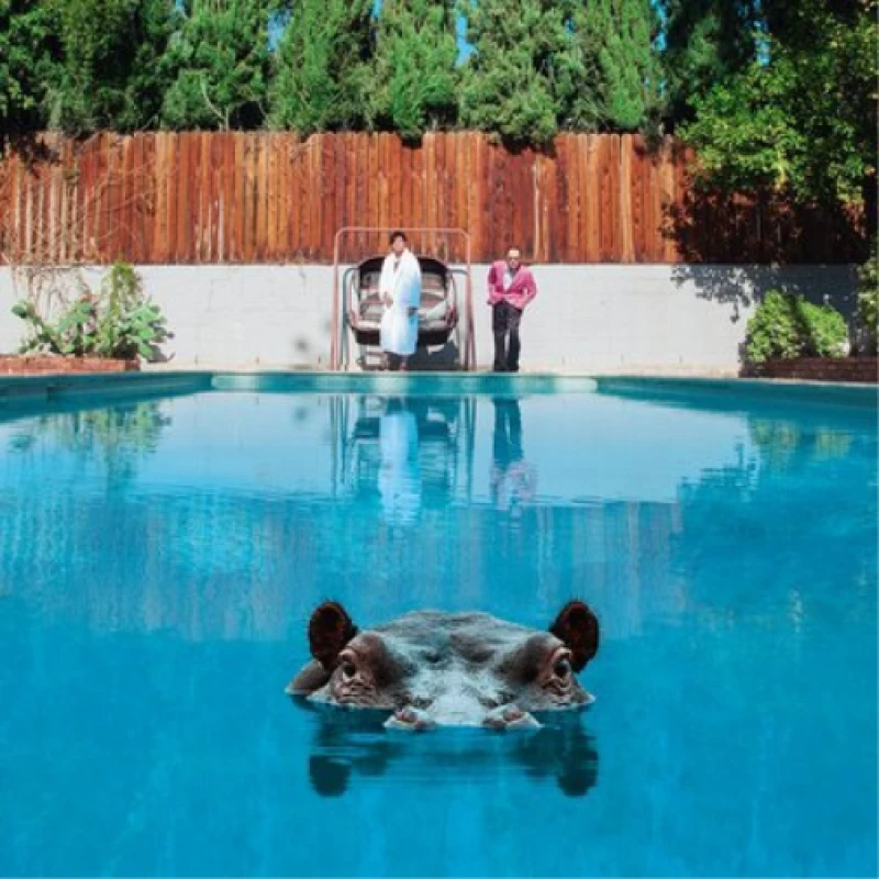 Image of Sparks Hippopotamus 2017 UK 2-LP vinyl set 538279760