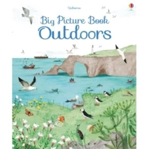 Image of Big Picture Book of Outdoors