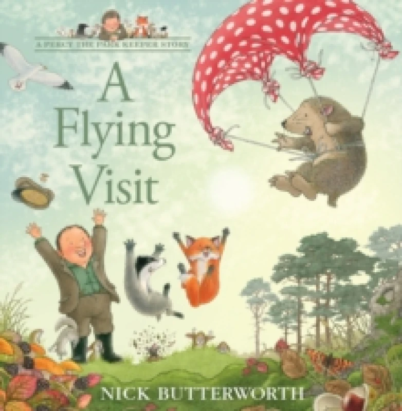 Image of A Flying Visit Paperback / softback