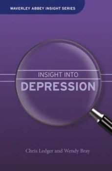 Image of Insight into Depression by Wendy Bray Hardback