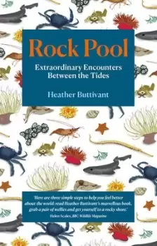 Image of Rock pool by Heather Buttivant