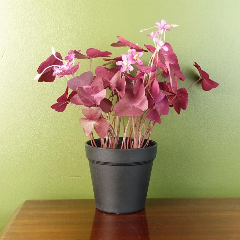 Image of Leaf 30cm Artificial Plant Realistic Purple Shamrock Pink Flowers Potted Green