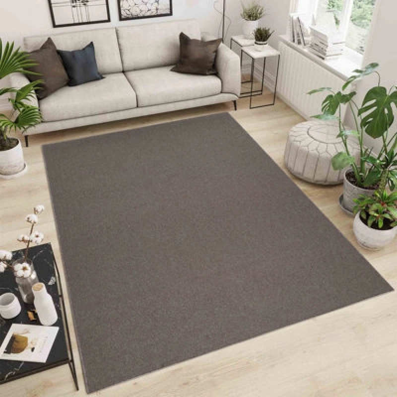 Image of Simple Low Pile Modern Tufted Area Rugs For Living Room With Felt Backing Dark Beige 120X170 Cm