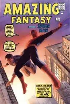 Image of Amazing Spider-man Omnibus Vol. 1 by Stan Lee