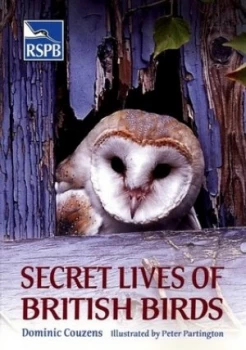 Image of Secret Lives of British Birds by Dominic Couzens Paperback