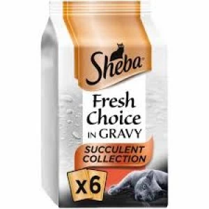 image of Sheba Succulent Selection in Gravy Fresh Cat Food 6 x 50g