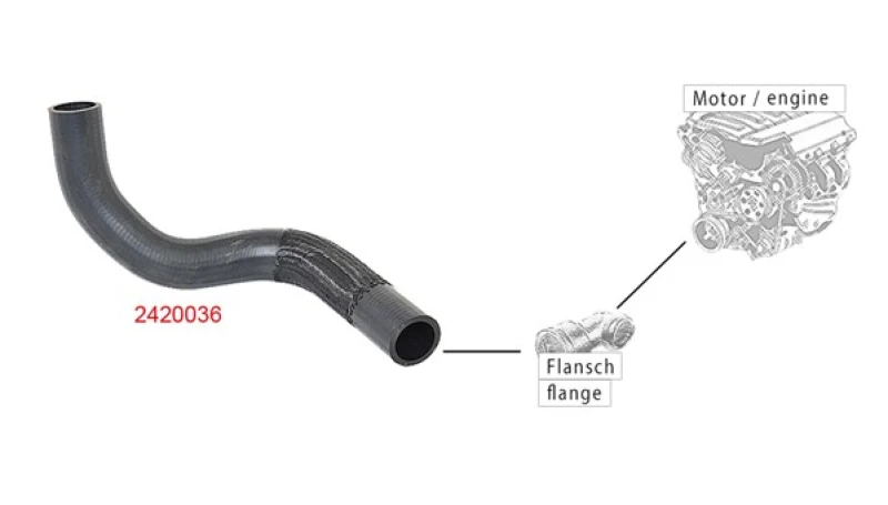 Image of Radiator hose METZGER 2420036