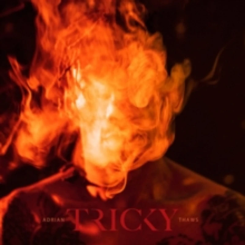 Image of Adrian Thaws CD / Album