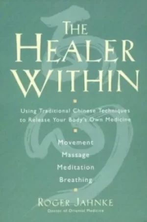 Image of The healer within by Roger O.ahnke