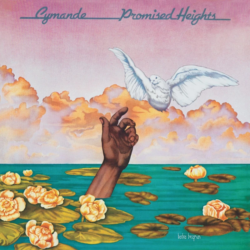 Image of Promised Heights CD / Album