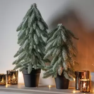 image of Crossland Grove Snowy Spruce With Pot 590mm