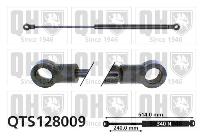 Image of QUINTON HAZELL Tailgate strut QUINTON HAZELL QTS128009