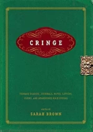Image of cringe teenage diaries journals notes letters poems and abandoned rock oper