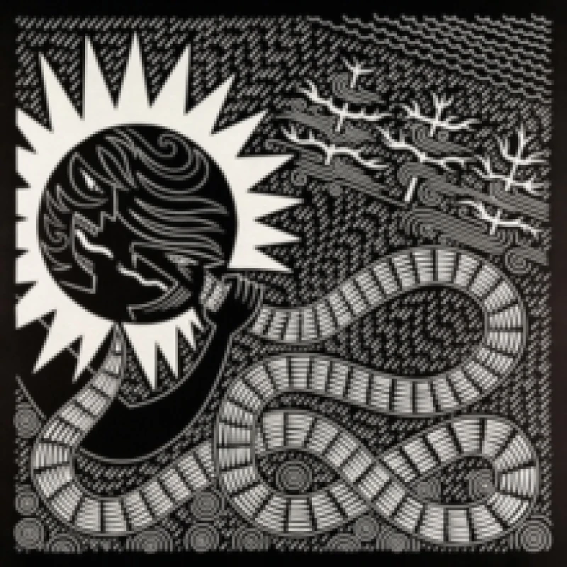 Image of Rosa Vinyl