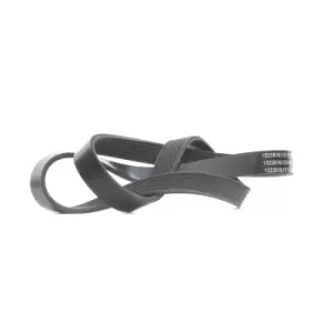 Image of RIDEX V-ribbed belt 305P0393 Serpentine belt,Auxiliary belt FIAT,TOYOTA,HYUNDAI,BRAVO II (198),STILO (192),STILO Multi Wagon (192)