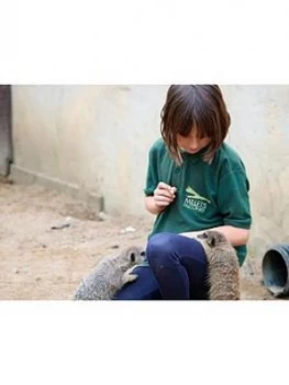 image of Virgin Experience Days Junior Animal Keeper Experience At Millets Falconry Centre