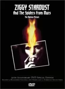 Image of David Bowie: Ziggy Stardust and the Spiders from Mars