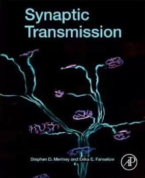 Image of Synaptic Transmission by Stephen Meriney