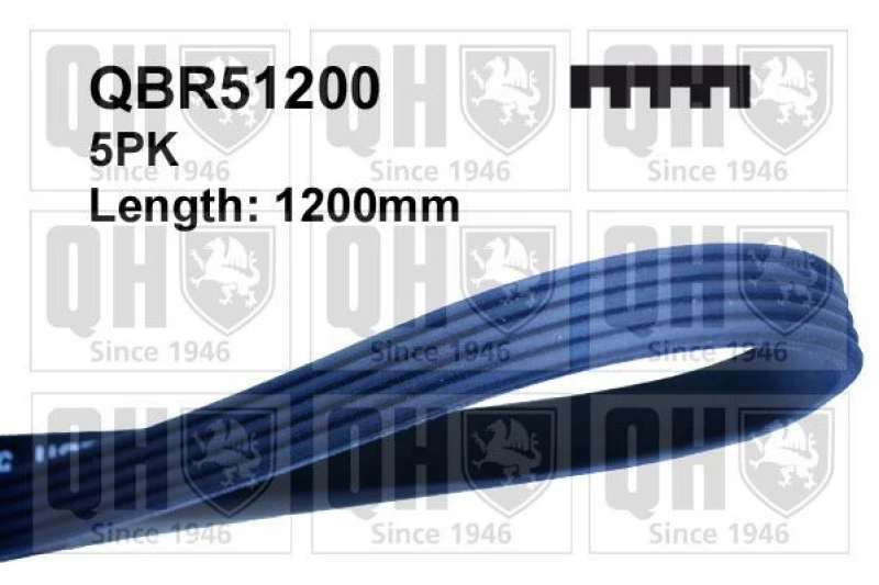 Image of QUINTON HAZELL Serpentine belt QUINTON HAZELL QBR51200