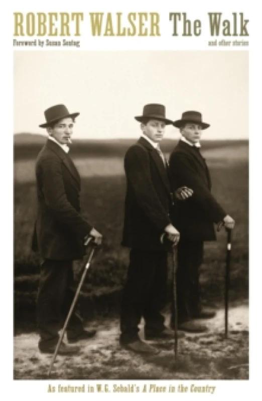 Image of The Walk. Paperback. By Robert Walser Books