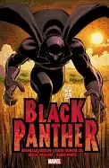 Image of black panther who is the Black panther