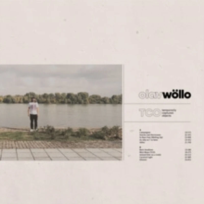 Image of Temporarily Captured Objects Vinyl