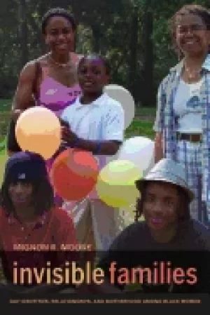 Image of invisible families gay identities relationships and motherhood among black