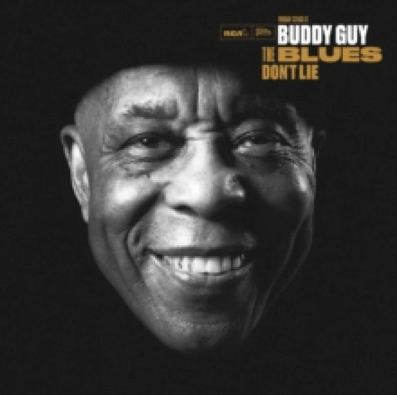 Image of The Blues Don't Lie Vinyl