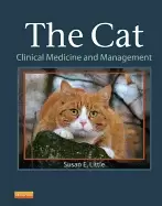 Image of cat clinical medicine and management 1e
