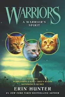 Image of Warriors: A Warrior's Spirit