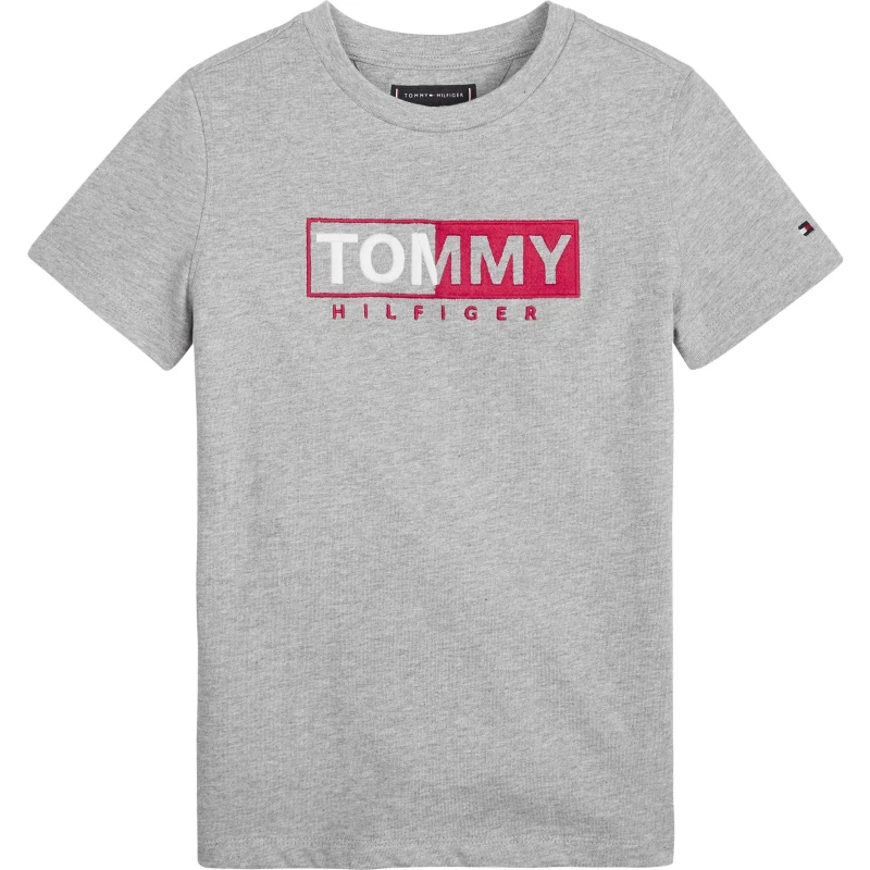 Image of Tommy Hilfiger Embroidered Logo T-Shirt Light Grey male 16-17 year