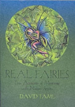 Image of Real Fairies by Damian Bland Paperback