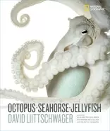 Image of octopus seahorse jellyfish