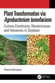 Image of Plant Transformation via Agrobacterium Tumefaciens Culture Conditions Recalcitrance and Advances in Soybean