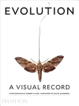 Image of evolution a visual record