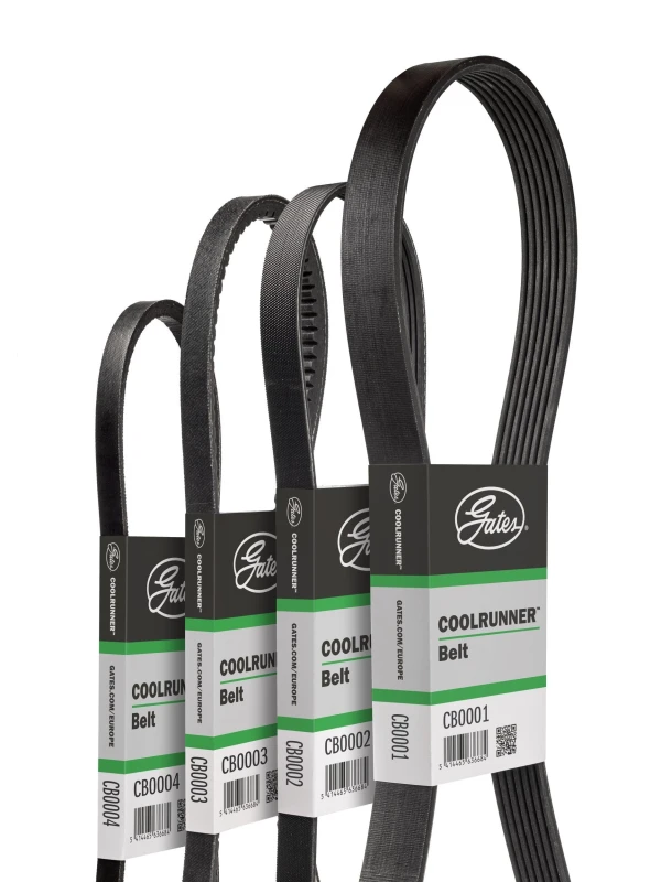 Image of GATES V-Belt GATES CB0001