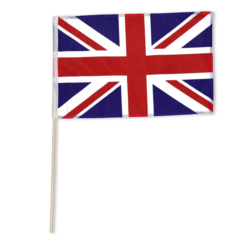 Image of Team England Hand Flag - Blue Blue One Size