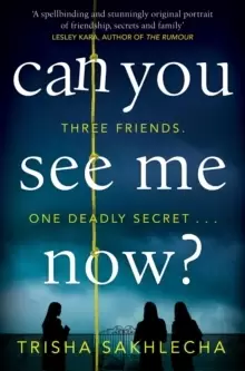 Image of Can You See Me Now?