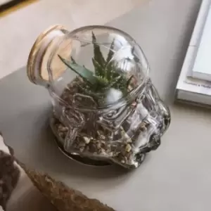 image of Original Stormtrooper Terrarium - Only at Menkind!