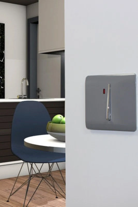 Image of Trendiswitch Warm Grey 20 Amp Switch With Neon