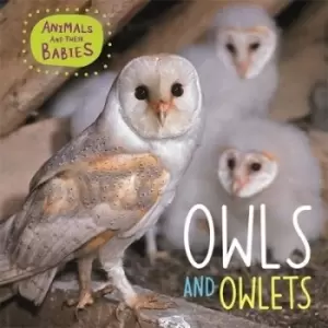 Image of Owls and owlets by Annabelle Lynch