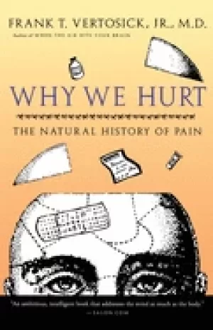 Image of why we hurt the natural history of pain