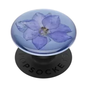 Image of Pressed Flower Larkspur Purple